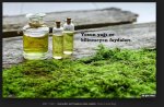benzericerikler-1.JPG