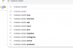 ççççi.PNG