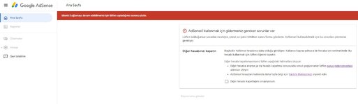 adsense4.jpg