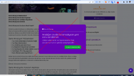 bu bir popup penceredir.PNG